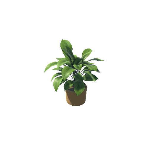 Plant 3